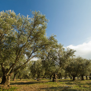 timeline-photos_0009_1920